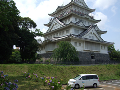 千葉城（郷土博物館）